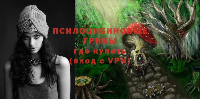 Галлюциногенные грибы Psilocybe  Кингисепп 